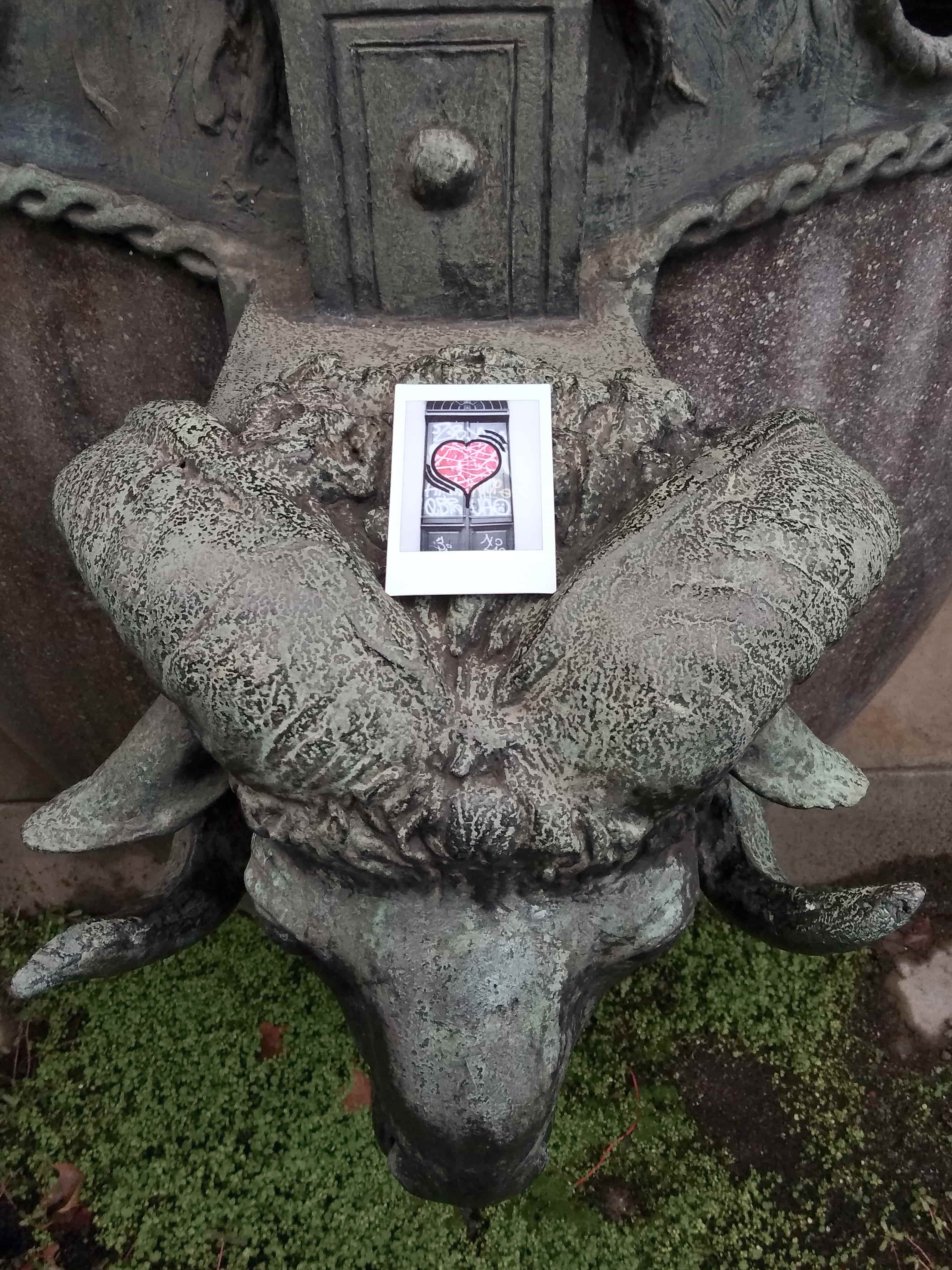 Fotografia dall'alto di una testa di ariete con sopra una polaroid con il cuore