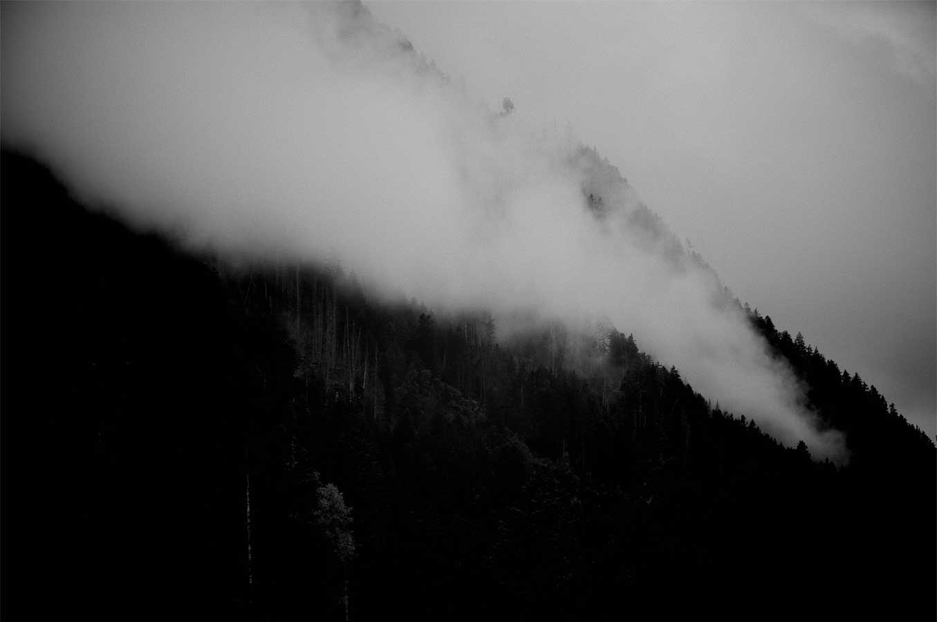 Fotografia di un alto della montagna ricoperto di pini semi-nascosti dalle nuvole.